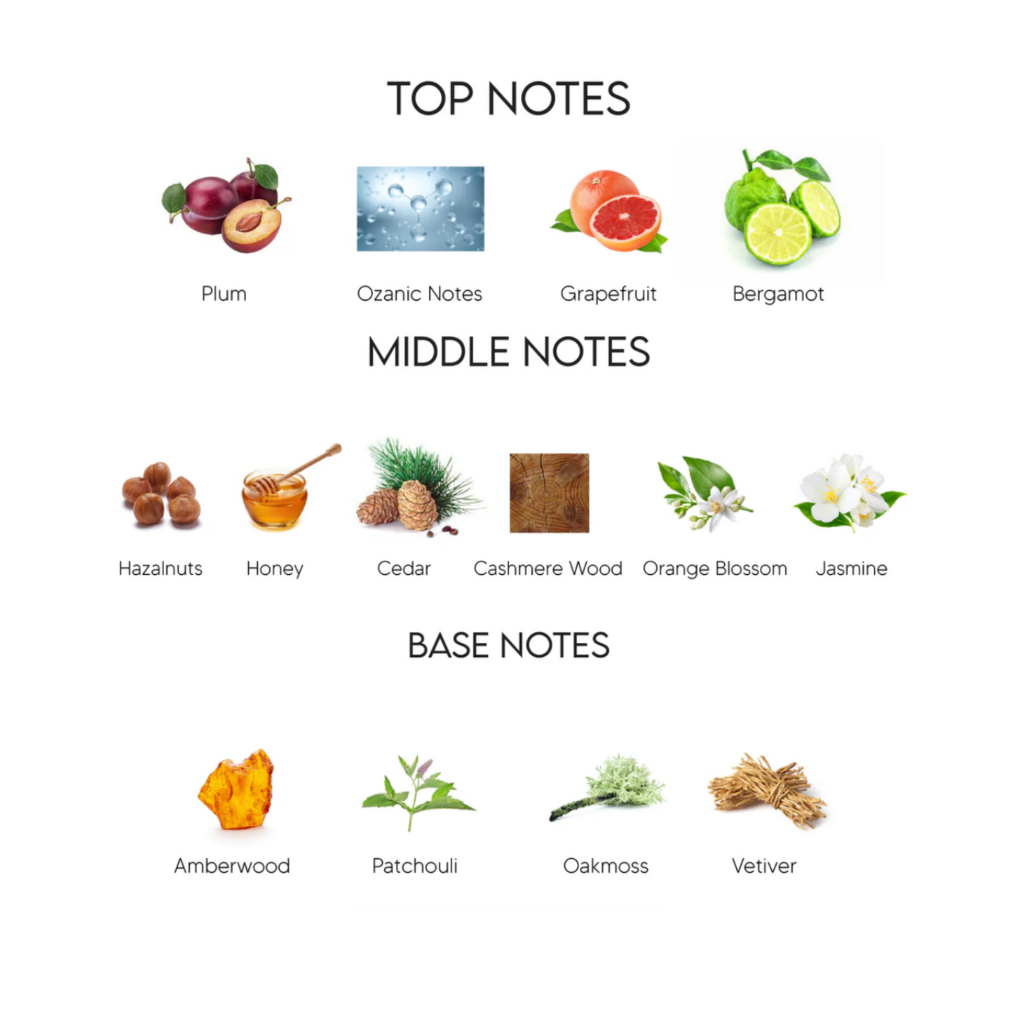 Empire Gold – Inspired by 1 Million by Paco Rabanne | Royal Emoral Perfume