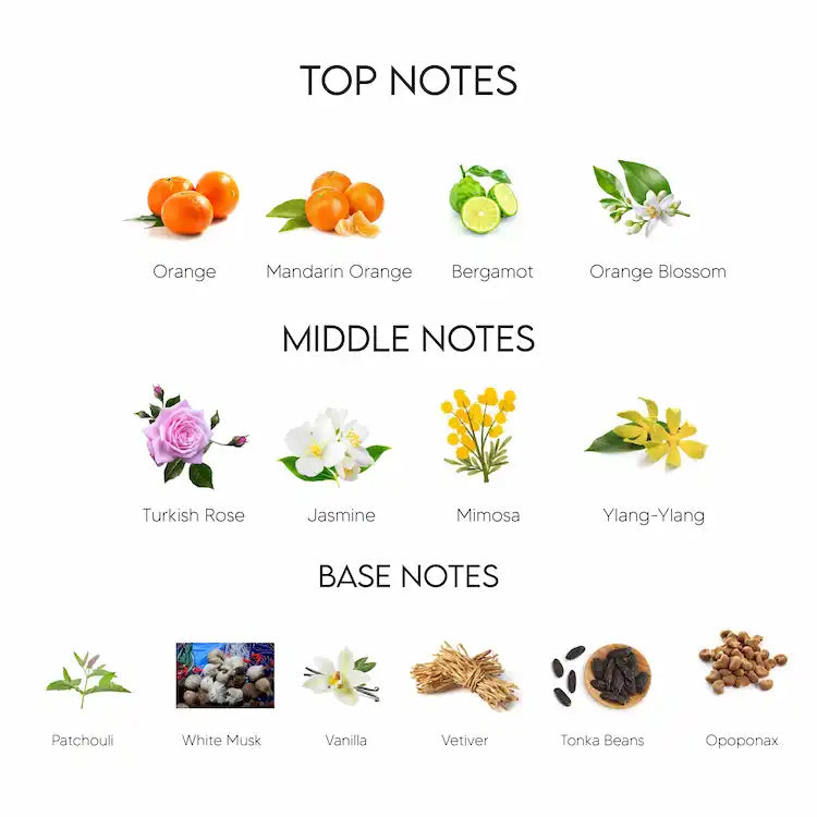 CoColine – Floral Oriental (Inspired by Chanel Coco Mademoiselle)